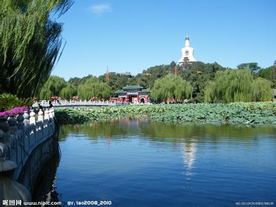 北海天气预报10天查询