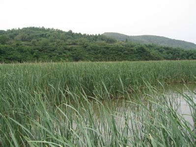 铜川宜君天气预报_宜君天气预报一周7天10天15天铜川宜君天气预报,宜君天气预报一周7天10天15天