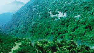 平山藤龙山原生态自然风景区