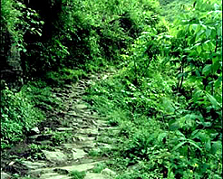 怒江丙中洛茶马驿道天气